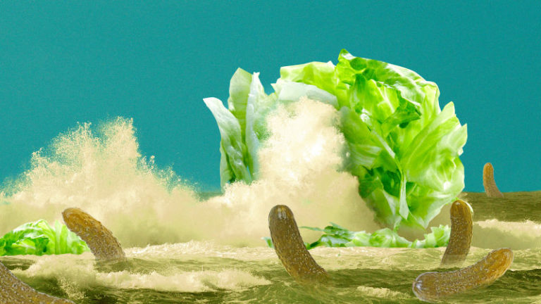 Sweet Pickle Salad Dressing